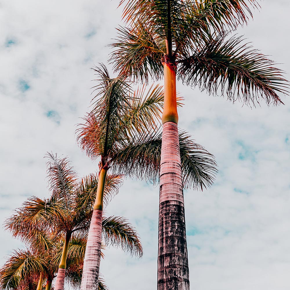 Depositphotos 201342166 l 2015