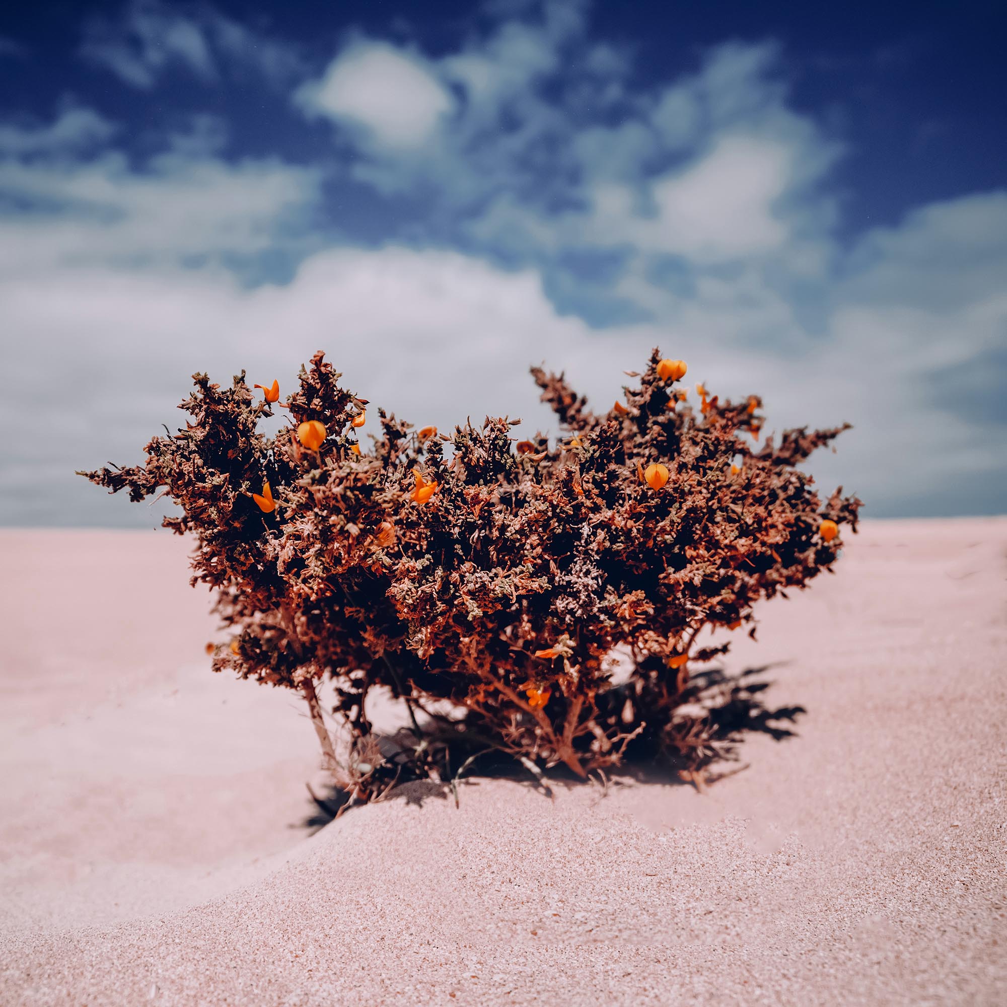Depositphotos 76473321 l 2015